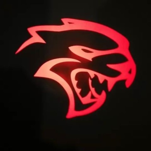 Meet your Posher, Riley - Picture 1 of 1